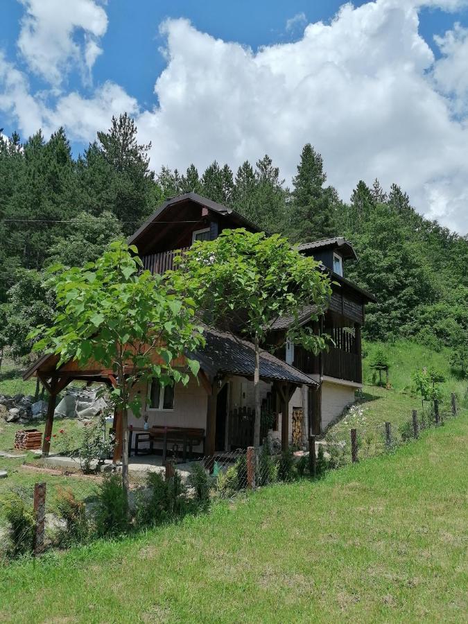 Vikendica Moonlight Villa Zaovine Luaran gambar