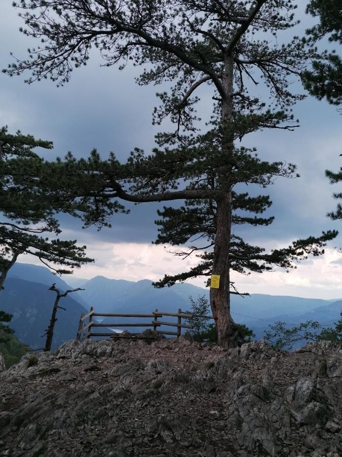 Vikendica Moonlight Villa Zaovine Luaran gambar