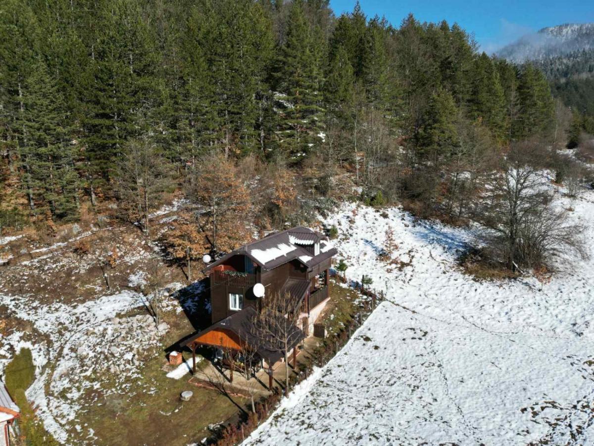 Vikendica Moonlight Villa Zaovine Luaran gambar