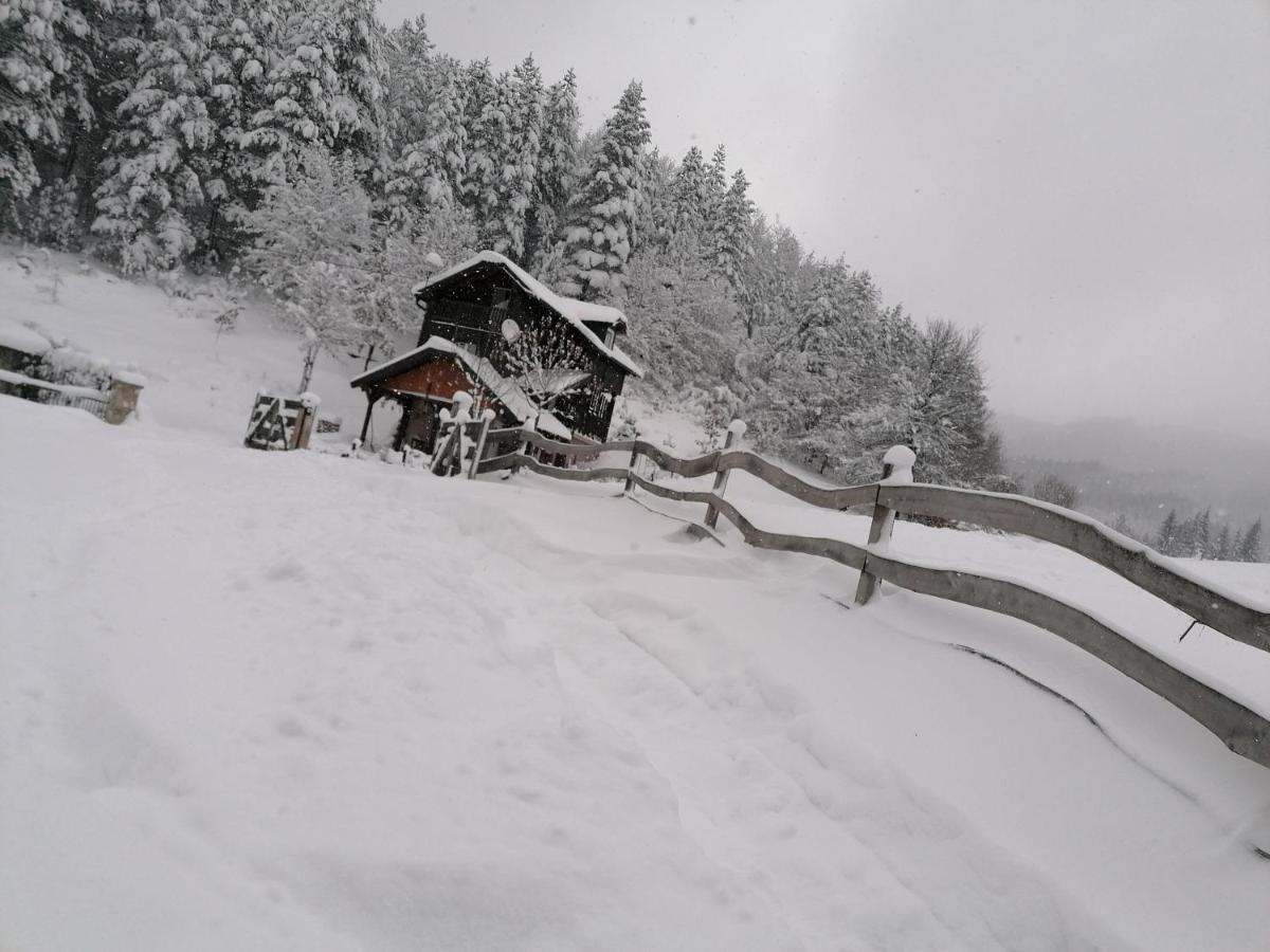 Vikendica Moonlight Villa Zaovine Luaran gambar