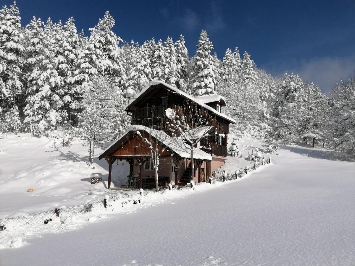 Vikendica Moonlight Villa Zaovine Luaran gambar