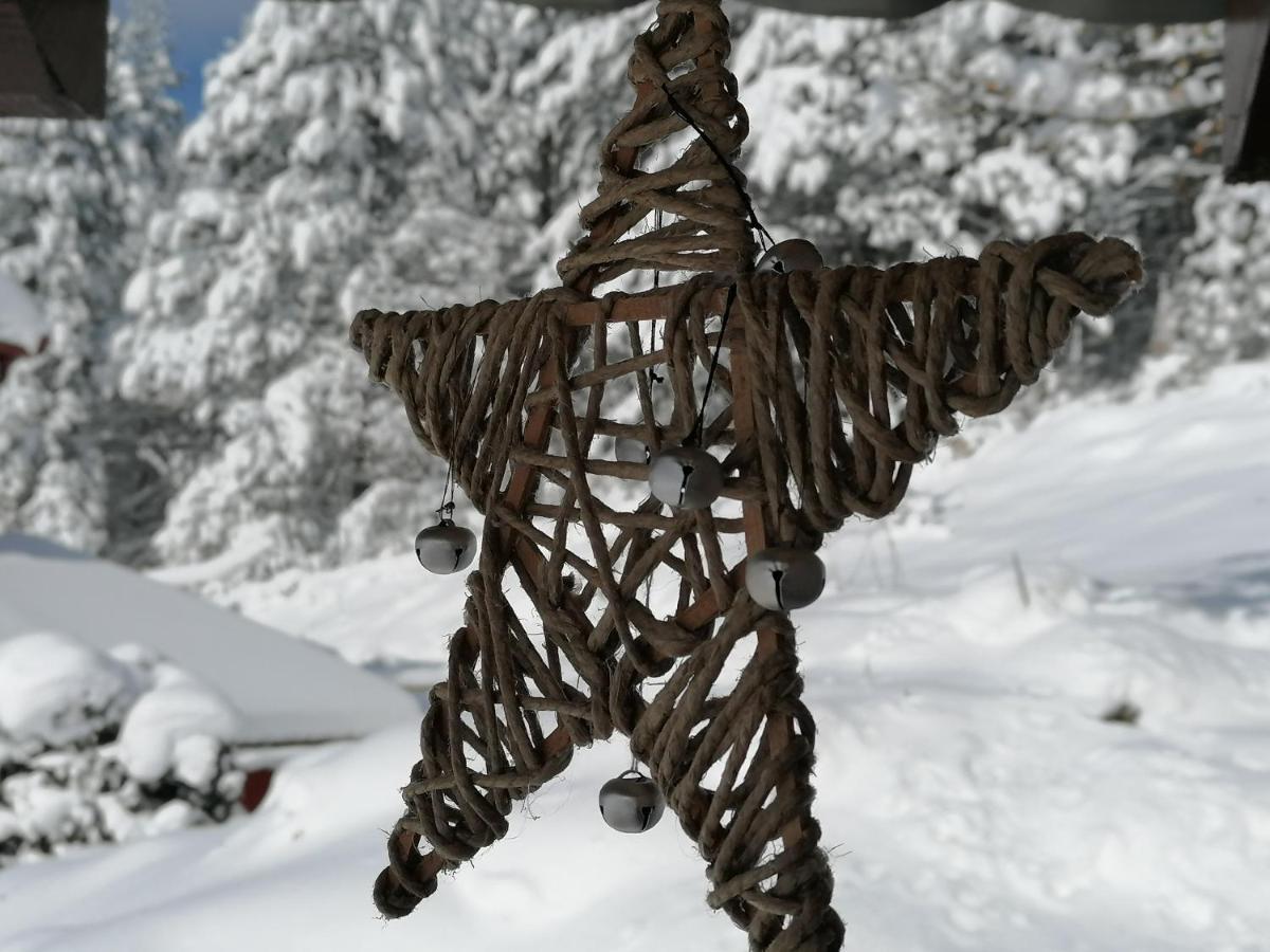 Vikendica Moonlight Villa Zaovine Luaran gambar