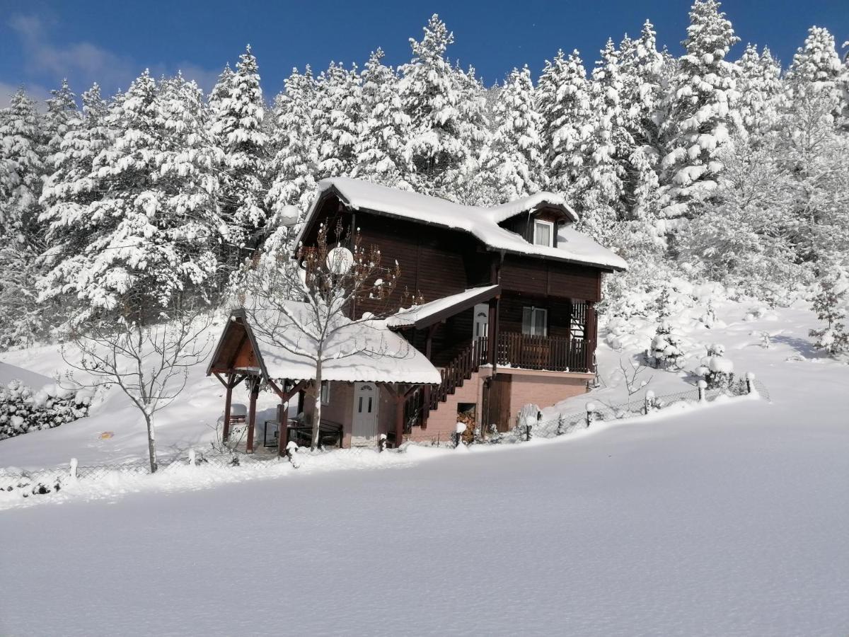 Vikendica Moonlight Villa Zaovine Luaran gambar